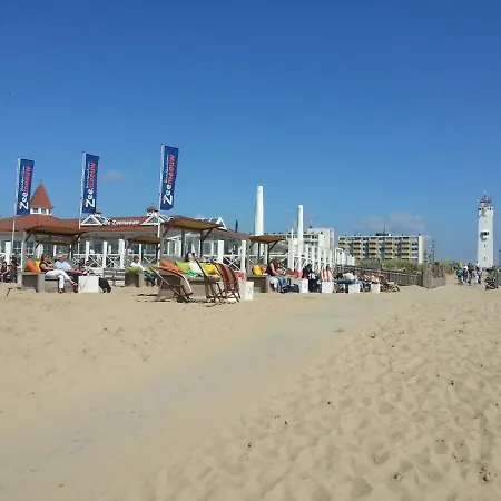 Duin En Strand *
