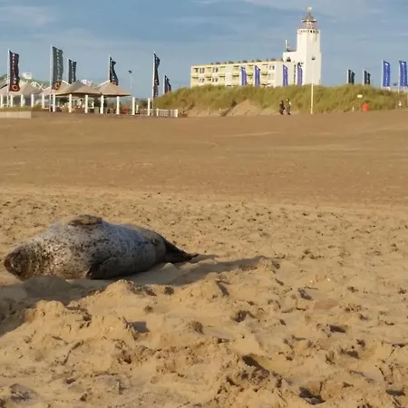 Duin En Strand 노르트베이크